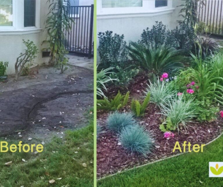 Curb appeal before and after